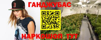 ешки Дубна